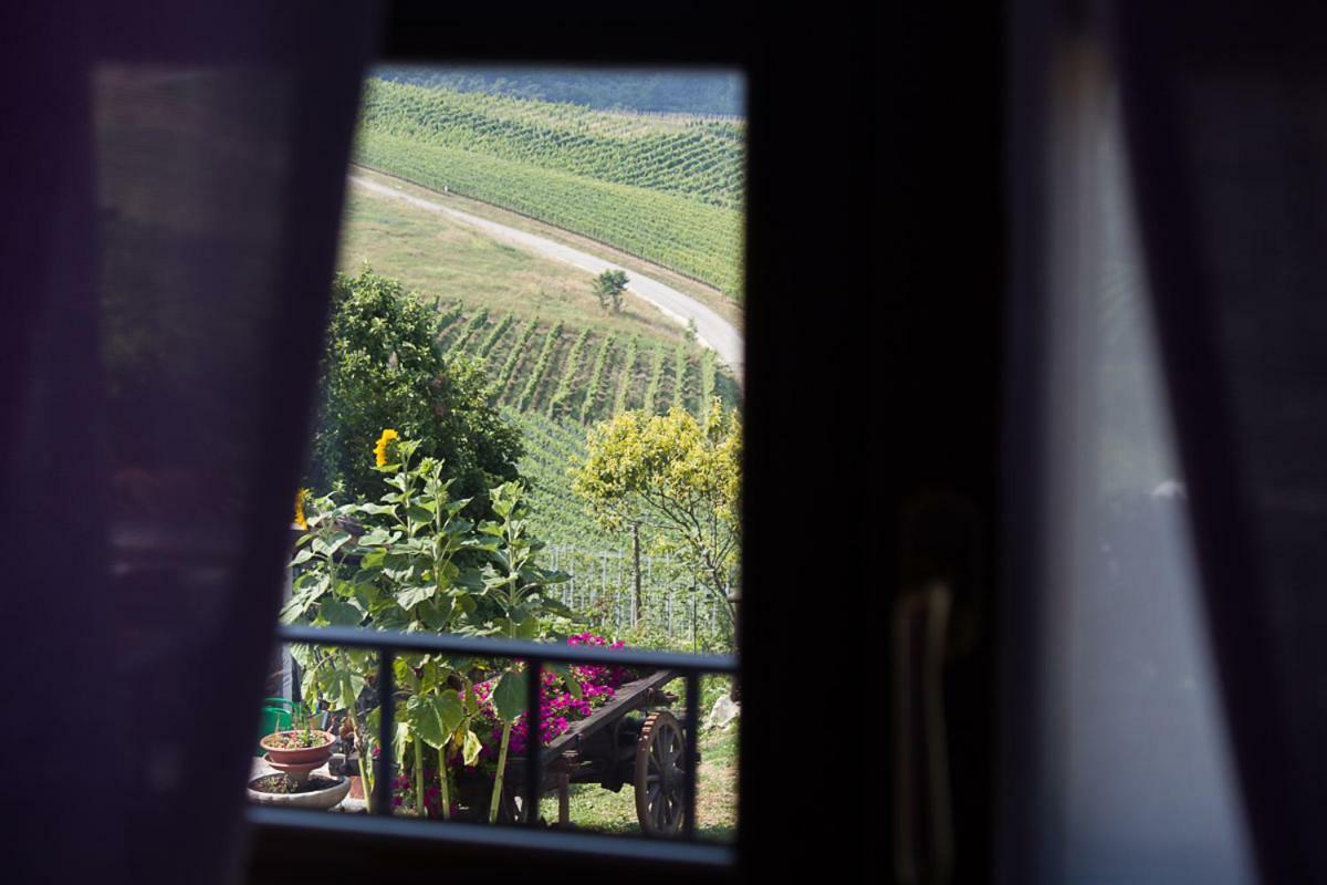 Agriturismo La Cà Veja Monforte dʼAlba Exterior foto
